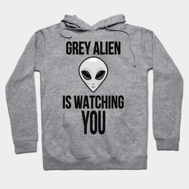 Grey alien Hoodie by karlangas